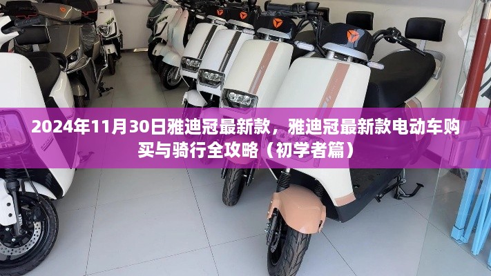 雅迪冠最新款电动车购买与骑行全攻略（初学者篇，发布日期2024年11月30日）