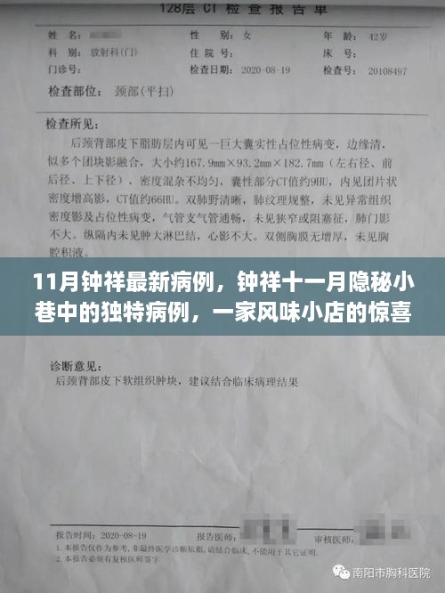 huanfeiyanshou 第8页