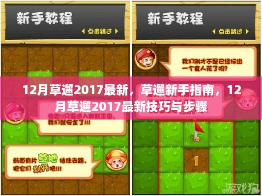 草遛新手指南，掌握最新技巧与步骤，迎接12月草遛挑战 2017