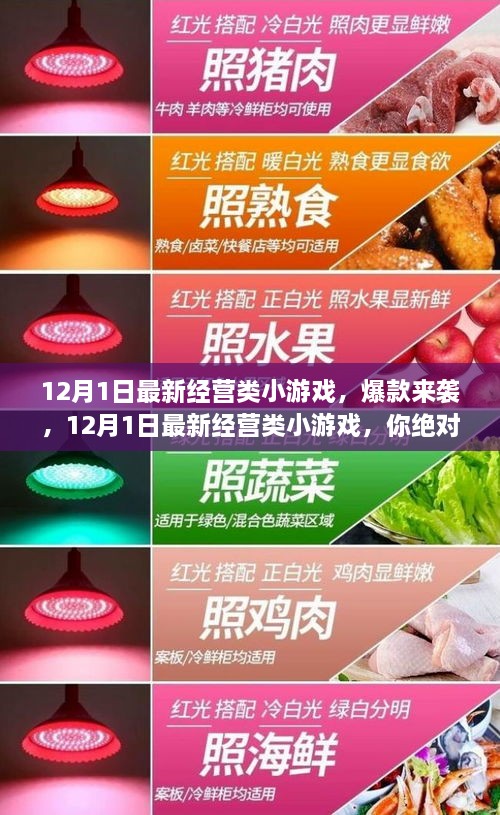 12月1日最新经营类小游戏爆款上线，不容错过！