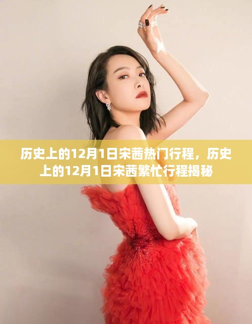 揭秘宋茜在历史上的12月1日繁忙行程