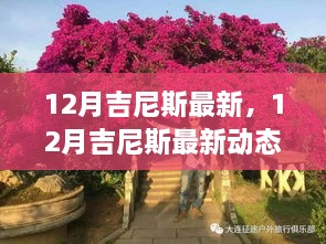 深度解析，12月吉尼斯最新动态及其影响与争议