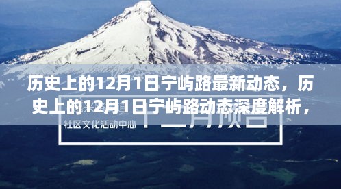 深度解析，历史上的宁屿路动态与观点探讨（12月1日最新动态）