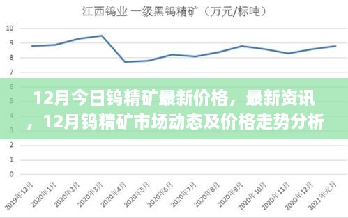 12月钨精矿最新价格与市场动态分析