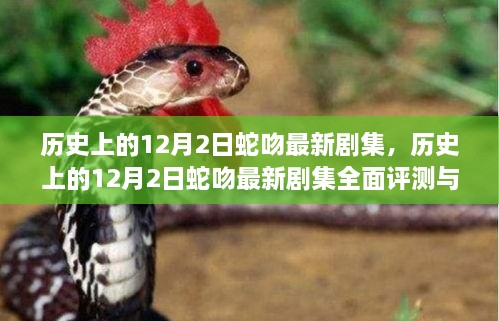 森久 第7页