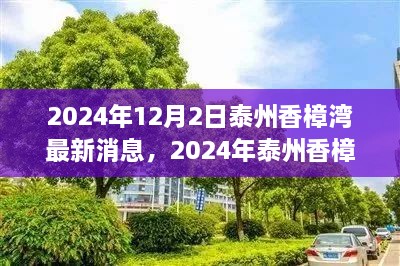 2024年泰州香樟湾最新动态及深度解读，城市发展的微观观察