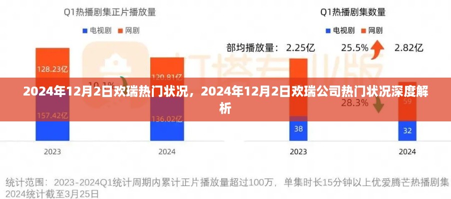 2024年12月2日欢瑞公司热门状况深度解析