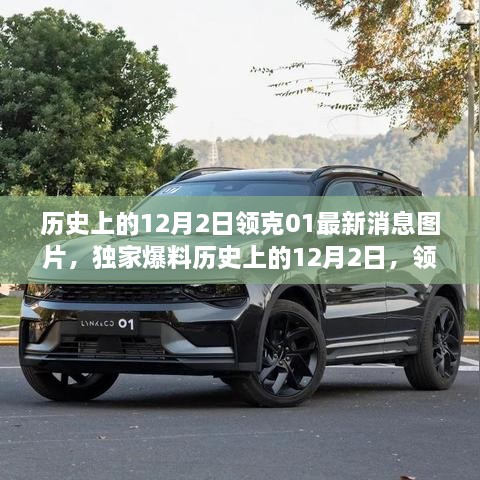 zhangchanghuamei 第8页