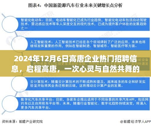 启程高唐，心灵与自然共舞的工作之旅——热门招聘信息发布（2024年12月6日）