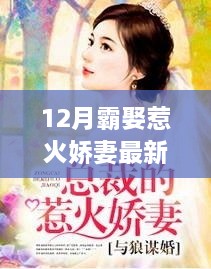 冬日暖阳下的甜蜜日常，霸娶娇妻的最新章节与家的温馨时刻