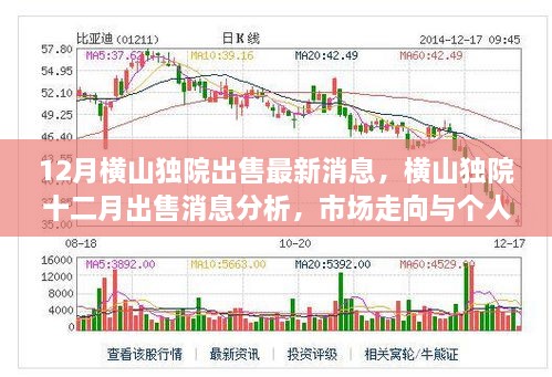 横山独院十二月市场深度解析，最新消息、市场走向与个人投资探讨