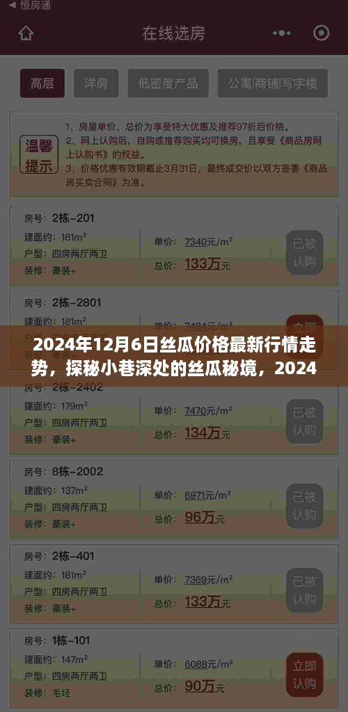 揭秘丝瓜行情走势与小巷特色小店的奇遇