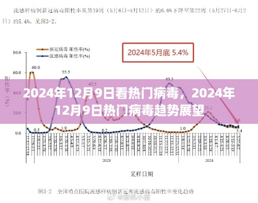 2024年12月9日热门病毒趋势展望，洞悉病毒动态