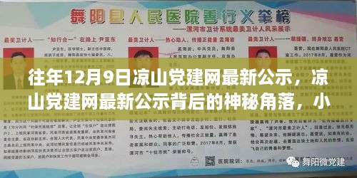 凉山党建网最新公示背后的神秘角落，小巷特色小店探秘之旅