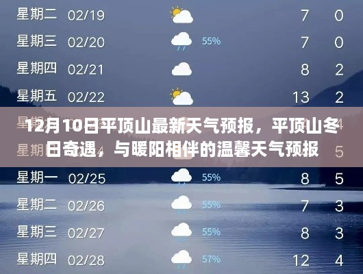 binbinyouli 第7页