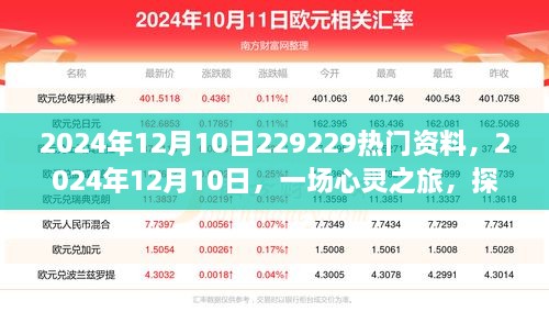 心灵之旅，探寻自然美景中的宁静与和谐——2024年12月10日热门资料分享