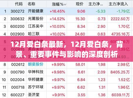 深度解析，12月爱白条最新动态及其背景与影响