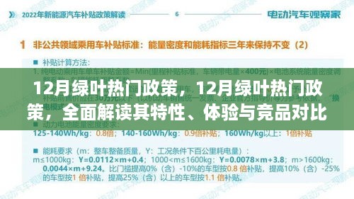 12月绿叶热门政策全面解读，特性、体验与竞品对比详解