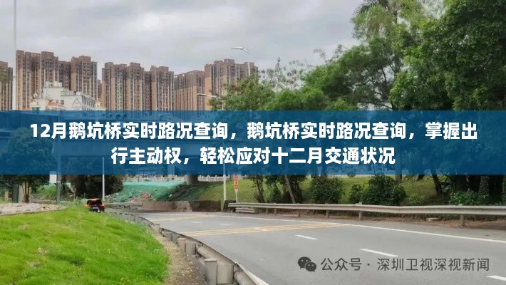 鹅坑桥实时路况查询，掌握出行主动权，应对十二月交通状况
