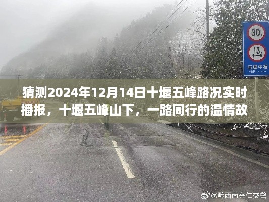 quanguixianyao 第5页