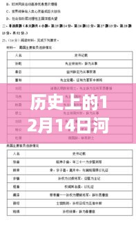 河南省公考实时数据分析之旅，历史上的十二月十四日回顾与洞察