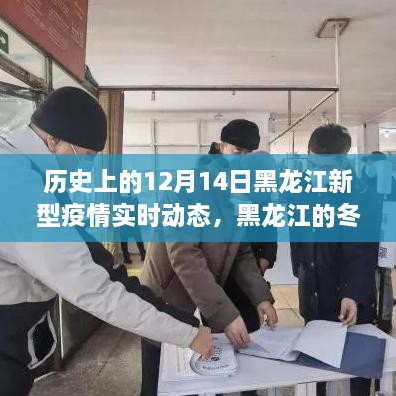 黑龙江疫情实时动态与冬日温情，疫情与友情的暖心故事在黑龙江上演