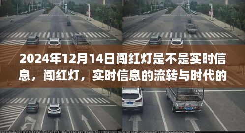 观察报告，闯红灯实时信息流转与时代的印记——以2024年12月14日为界