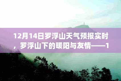 benniaoxianfei 第5页