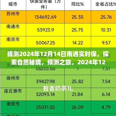 探索自然秘境，南通实时保之旅，预测之旅，寻找内心的平和与宁静（2024年12月14日）
