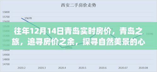 青岛房价与自然美景的双重探寻，追寻历史与未来的心灵之旅