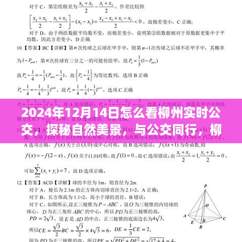 guizhangguizhi 第5页