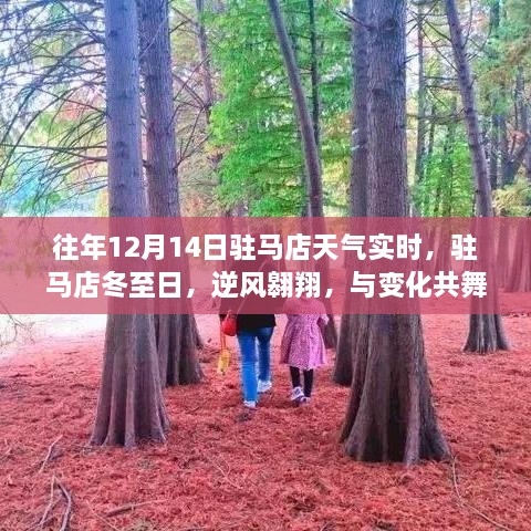 往年冬至驻马店逆风翱翔下的励志故事与实时天气观察