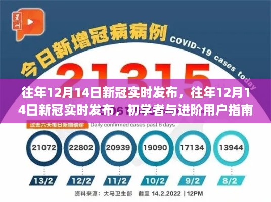 往年12月14日新冠实时发布，初学者与进阶用户指南全解析