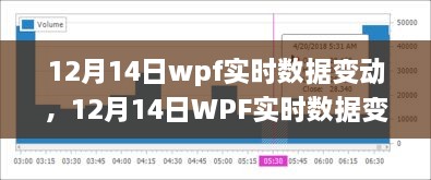 12月14日WPF实时数据变动深度解析，产品特性、用户体验与目标用户群体探讨