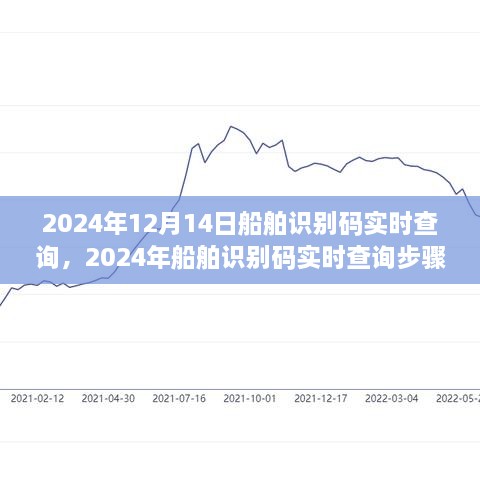 2024年船舶识别码实时查询步骤指南