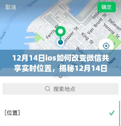 花开无言 第5页