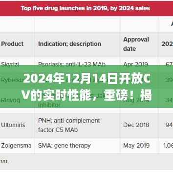 重磅揭秘，2024年12月14日CV实时性能开放，智能视觉新纪元开启