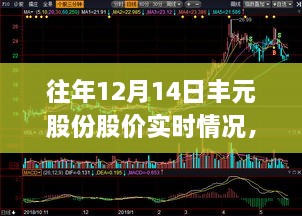 揭秘丰元股份历年股价波动，深度解析十二月十四日股价动态与深层影响