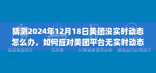如何应对美团平台无实时动态的情况,策略分析与建议(美团平台动态监测与应对策略)