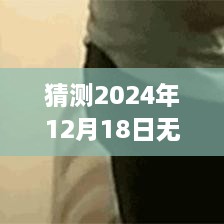 binbinyouli 第6页