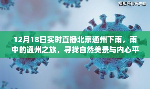 12月18日实时直播回顾，通州雨中美景探索之旅，寻找自然与内心的宁静