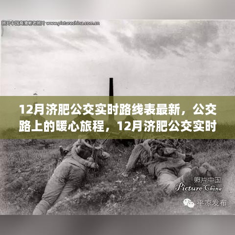 12月济肥公交实时路线表，暖心旅程与路线背后的故事