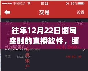 花开无言 第4页