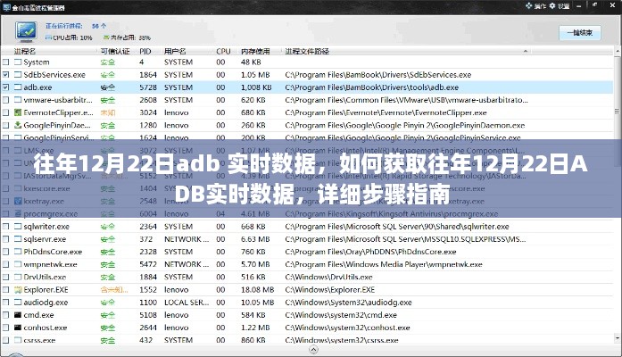 往年12月22日ADB实时数据获取指南，详细步骤解析