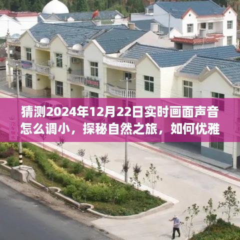 yangchunbaixue 第4页