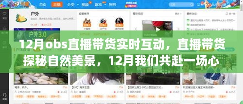 sheshenchudi 第4页