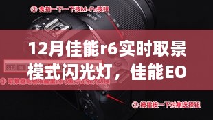 佳能EOS R6实时取景模式闪光灯功能深度评测与详解