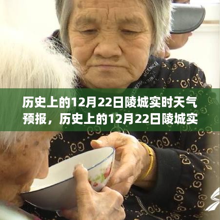 历史上的12月22日陵城实时天气预报及查询全攻略，适合初学者与进阶用户