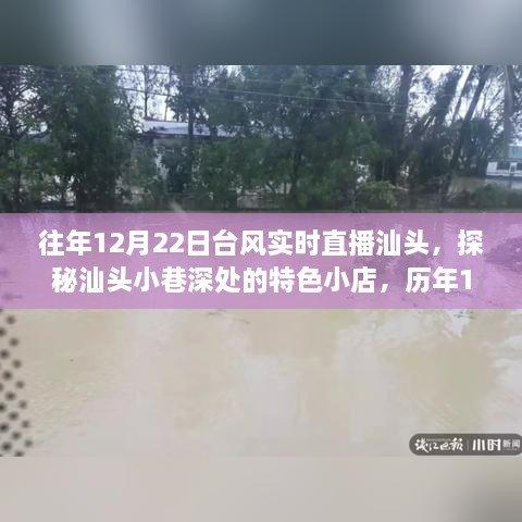 探秘汕头特色小店，历年台风下的独特风情直播回顾