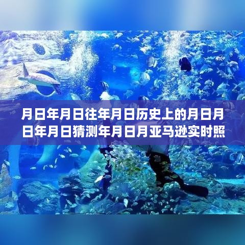 yaowuyinxun 第4页